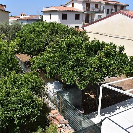 B&B Da Zio Peppe Cirella Zewnętrze zdjęcie